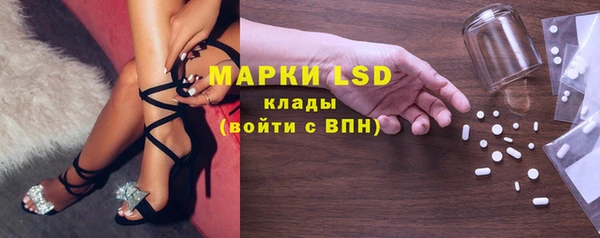 apvp Белокуриха