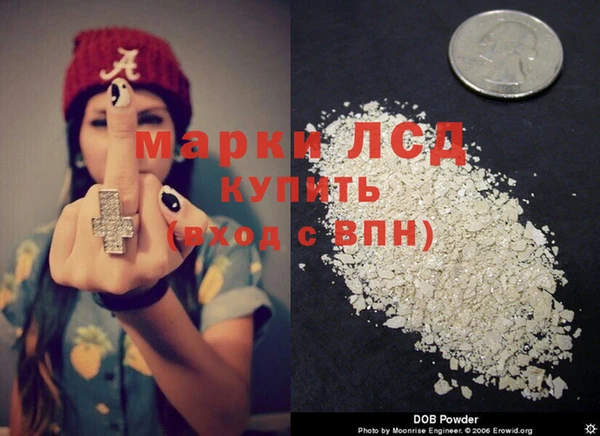 spice Богородск