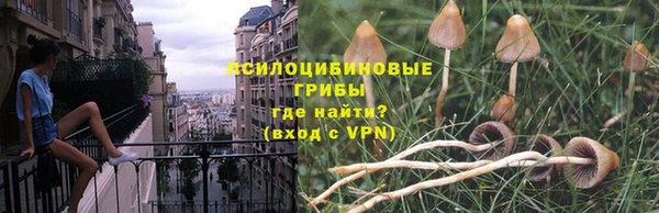 меф Богородицк