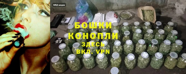 spice Богородск