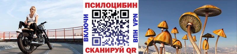 даркнет состав  Большой Камень  Галлюциногенные грибы GOLDEN TEACHER  купить  цена 